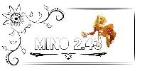 Mino 2.43 (développement)