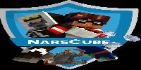 NarsCube