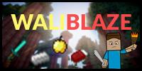 WaliBlaze - Ce n'est pas qu'un Serveur, c'est une Famille !