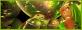 Paradizia Recrutement [ON]Obvijevans / Parabiote / Montilier gratuit
