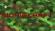Serveur Minecraft Bionic-Craft  [1.3.2]