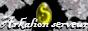 [BETA] Arkalion Serveur 2.0