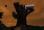 Serveur : TheTREE