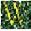 WitchCraft | Pvp/faction | FreeBuild | Minigames | SkyBlock |